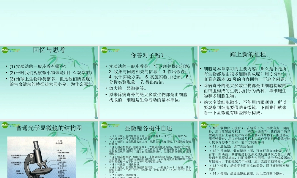 七年级生物上册 显微镜使用方法及构件特点课件 北师大版 课件