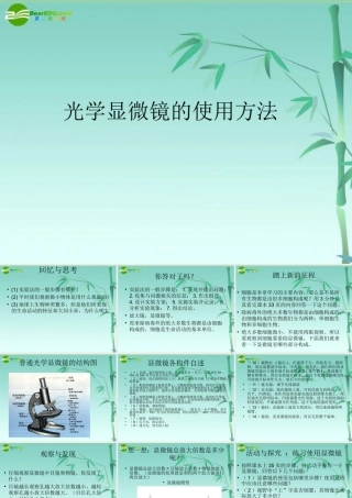 七年级生物上册 显微镜使用方法及构件特点课件 北师大版 课件