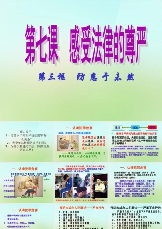 中学七年级政治下册 7.3 防患于未然课件 新人教版 课件
