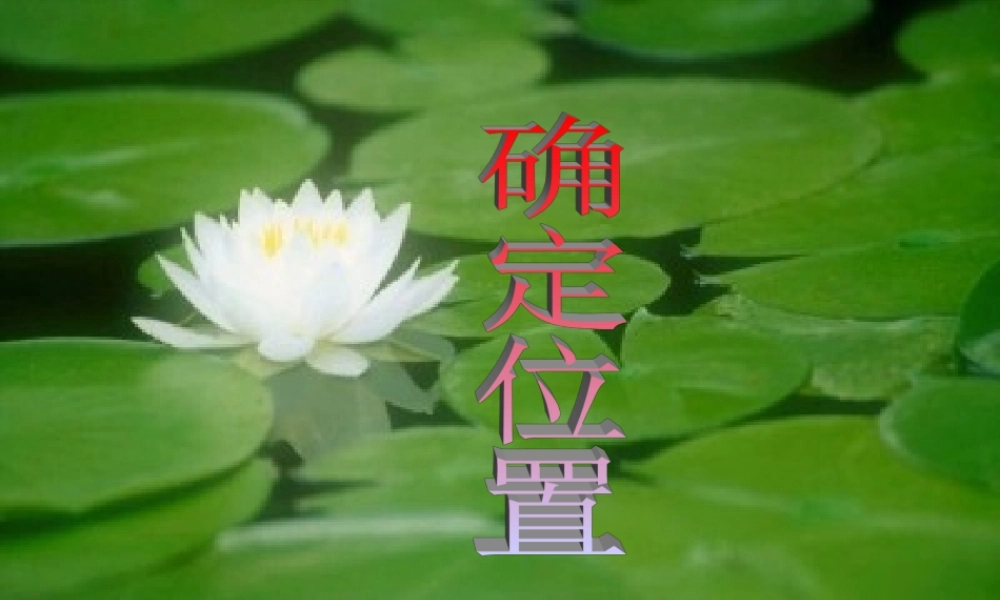 北师大版八年级数学确定位置ppt 课件