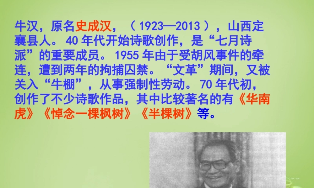 中学七年级语文下册 6.28(华南虎)课件 (新版)新人教版 课件