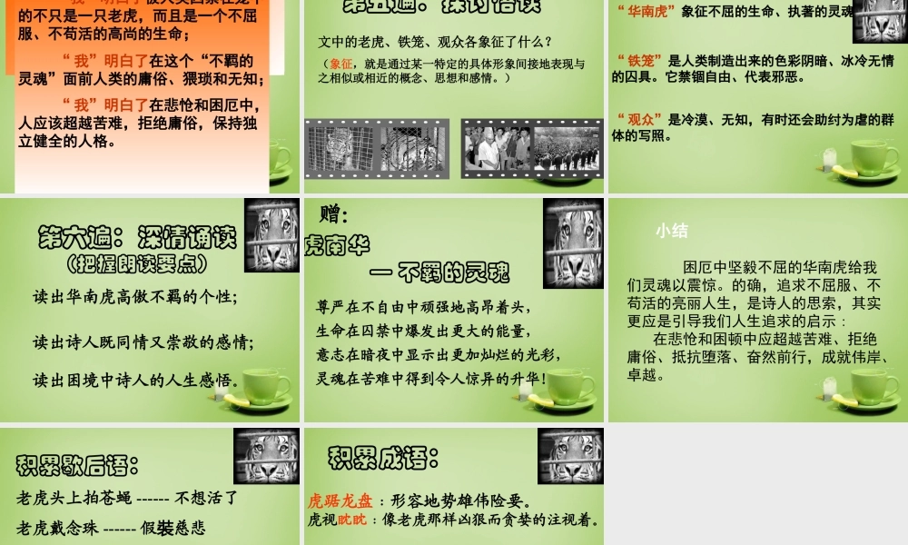 中学七年级语文下册 6.28(华南虎)课件 (新版)新人教版 课件