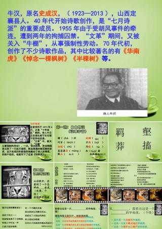 中学七年级语文下册 6.28(华南虎)课件 (新版)新人教版 课件