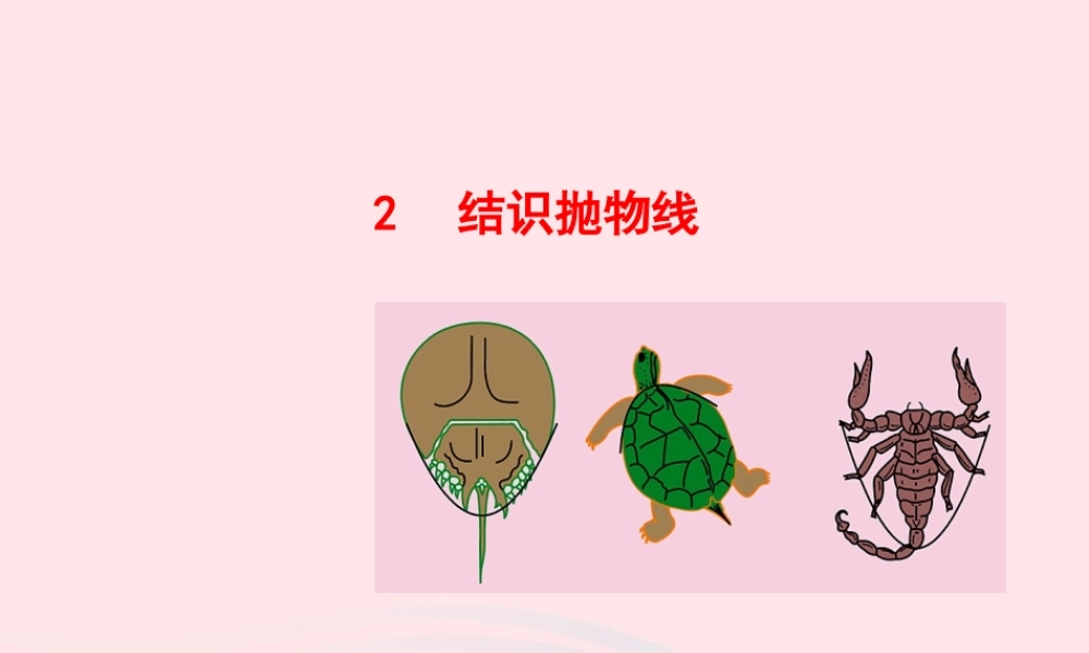 九年级数学下册 第二章二次函数 2结识抛物线课件 北师大版 课件