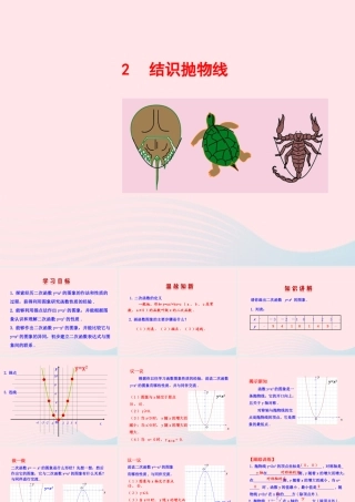 九年级数学下册 第二章二次函数 2结识抛物线课件 北师大版 课件