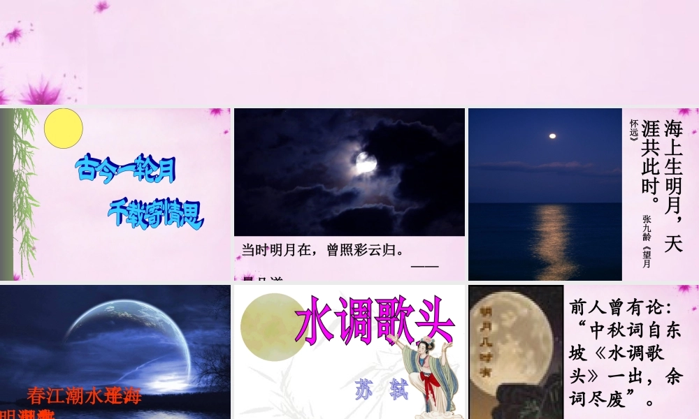 吉林省长春市八年级语文下册 第3课(词两首)之水调歌头课件3 长春版 课件