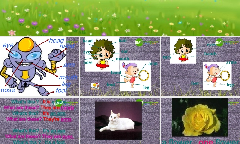 七年级英语上册 Starter Module 2 Unit 3 How many are there课件 外研版 课件