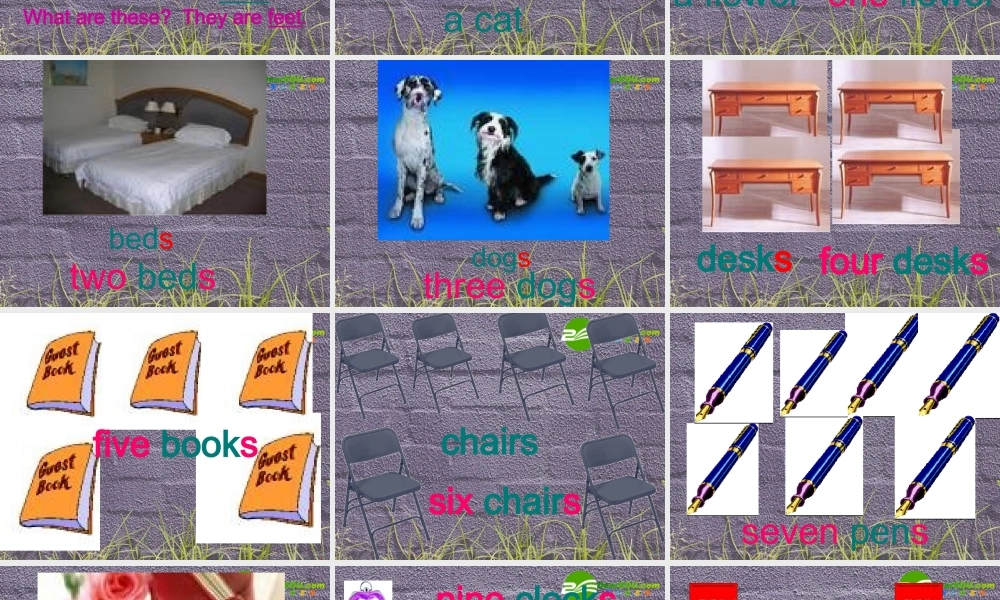 七年级英语上册 Starter Module 2 Unit 3 How many are there课件 外研版 课件