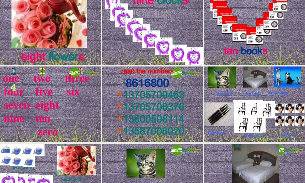 七年级英语上册 Starter Module 2 Unit 3 How many are there课件 外研版 课件