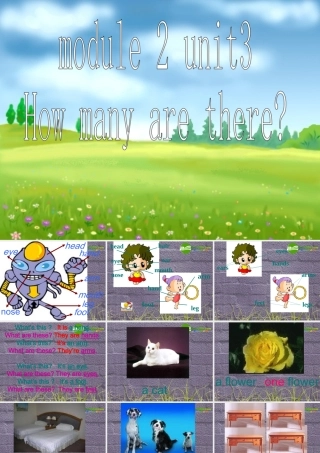 七年级英语上册 Starter Module 2 Unit 3 How many are there课件 外研版 课件