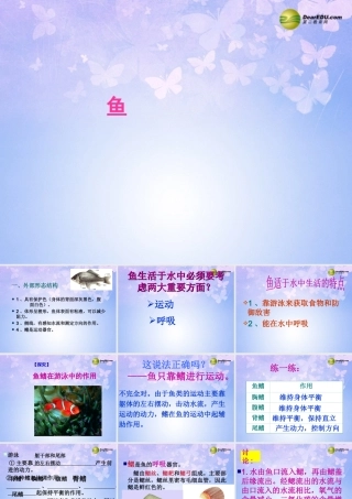 八年级生物上册 第五单元 1.4 鱼课件 (新版)新人教版 课件