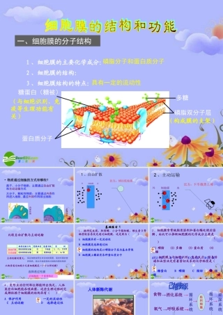 初中生物上学期竞赛 人体新陈代谢课件