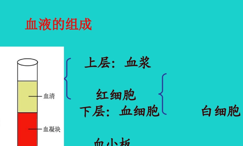 七年级生物下册 第三单元 第三章 第一节 物质运输的载体 血液的组成课件(新版)济南版 课件