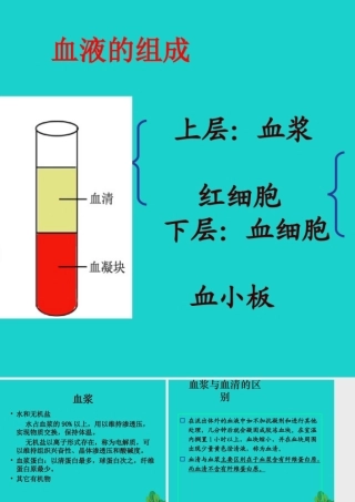 七年级生物下册 第三单元 第三章 第一节 物质运输的载体 血液的组成课件(新版)济南版 课件