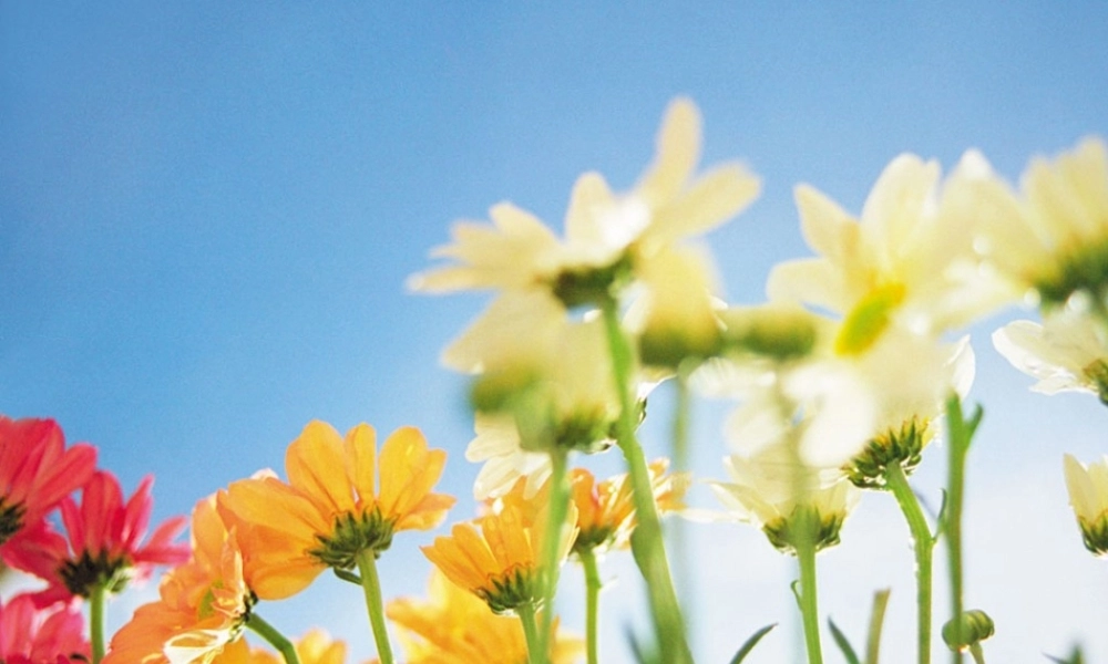 八年级数学上册 15.1.3积的乘方课件 人教新课标版 课件