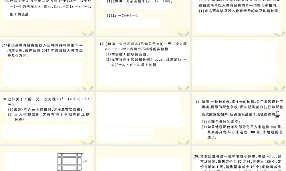 九年级数学下册 九上 复习专项训练二 一元二次方程习题讲评课件 (新版)北师大版 课件