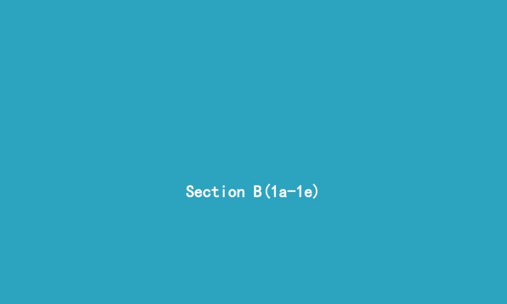 九年级英语全册 Unit 5 What are the shirts made of Section B(1a 1e)课件 (新版)人教新目标版 课件