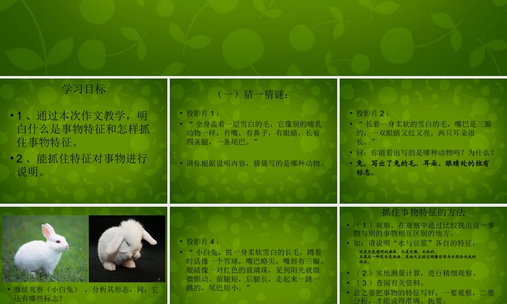 八年级语文上册 第三单元(写作 说明要抓住特征)课件 新人教版 课件