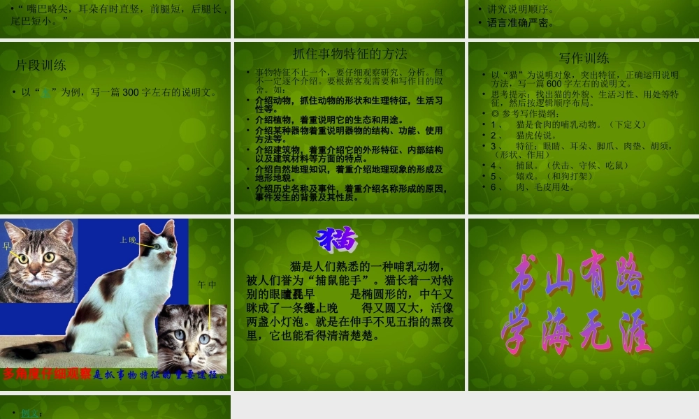 八年级语文上册 第三单元(写作 说明要抓住特征)课件 新人教版 课件