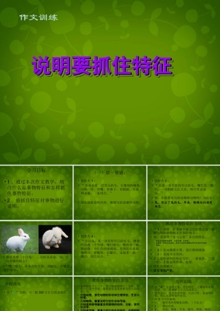 八年级语文上册 第三单元(写作 说明要抓住特征)课件 新人教版 课件