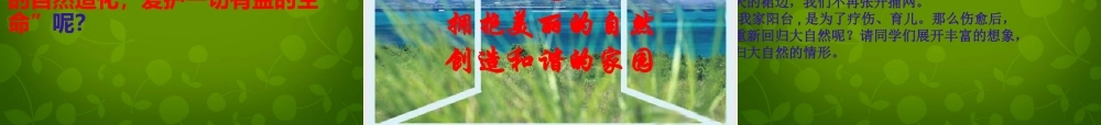 八年级语文上册 24 明天不封阳台课件 苏教版 课件