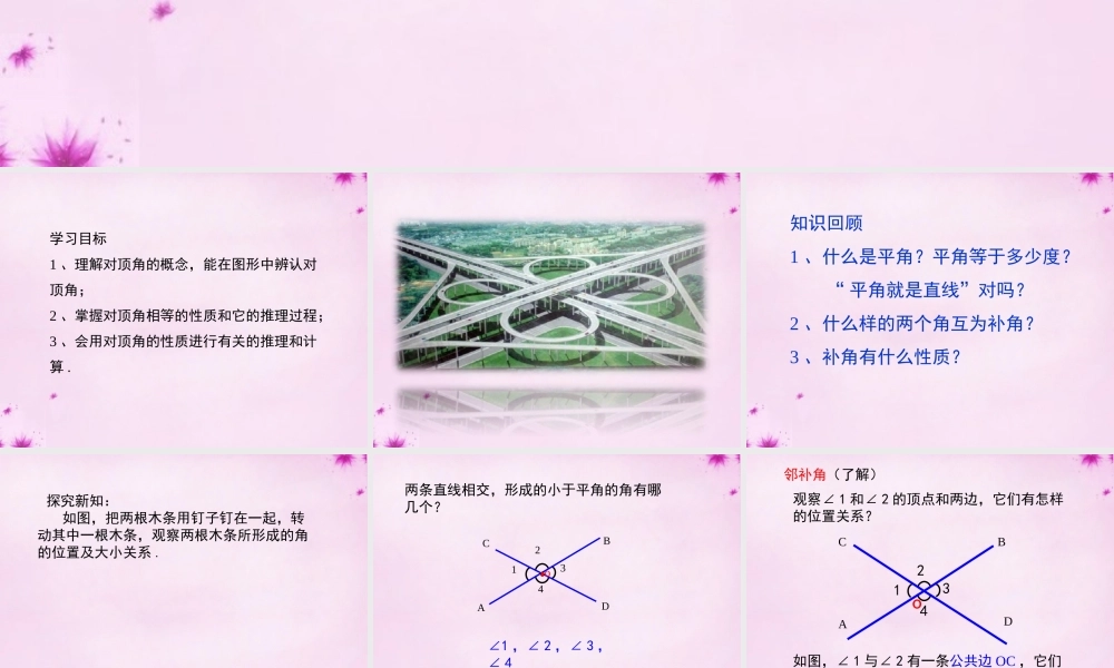 七年级数学下册 8.4对顶角课件 (新版)青岛版 课件