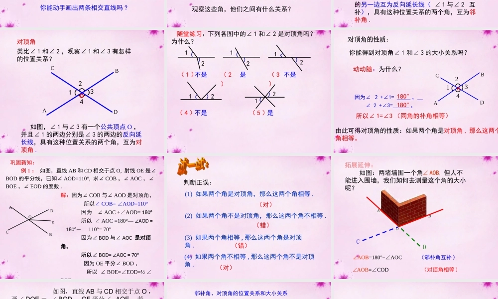 七年级数学下册 8.4对顶角课件 (新版)青岛版 课件
