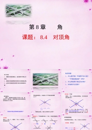 七年级数学下册 8.4对顶角课件 (新版)青岛版 课件