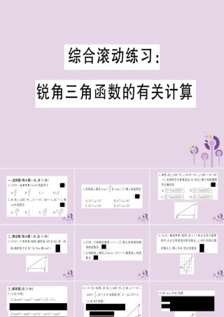 九年级数学下册 综合滚动练习 锐角三角函数的有关计算习题讲评课件 (新版)北师大版 课件