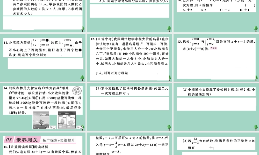 八年级数学上册 第五章(二元一次方程组)5.1 认识二元一次方程组作业课件 (新版)北师大版 课件
