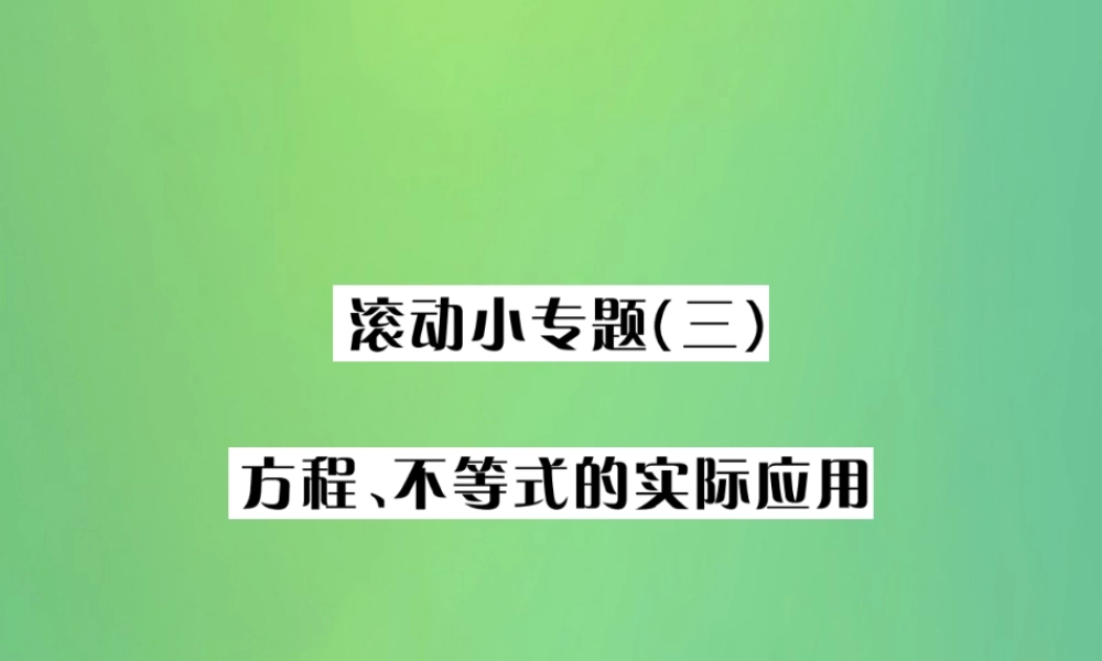 中考数学复习 第二单元 方程与不等式 滚动小专题(三)方程、不等式的实际应用课件