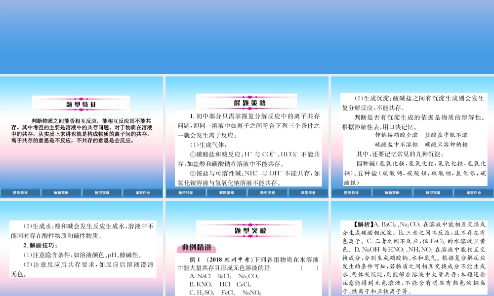 中考化学复习 第2编 重点专题突破篇 专题突破1 共存问题(精讲)课件