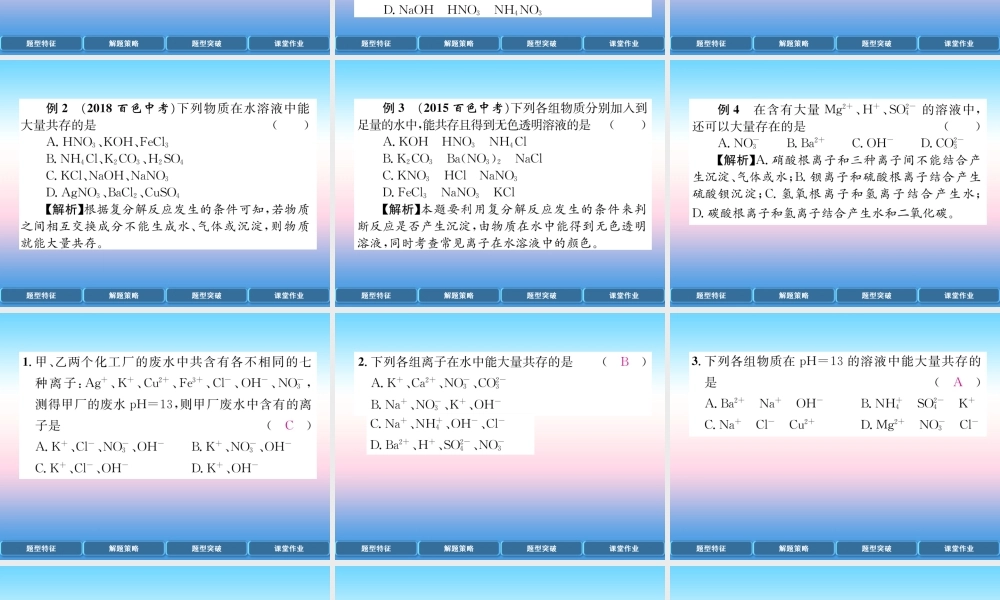 中考化学复习 第2编 重点专题突破篇 专题突破1 共存问题(精讲)课件