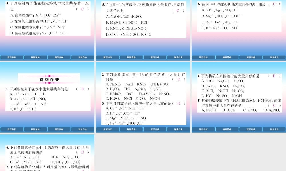 中考化学复习 第2编 重点专题突破篇 专题突破1 共存问题(精讲)课件