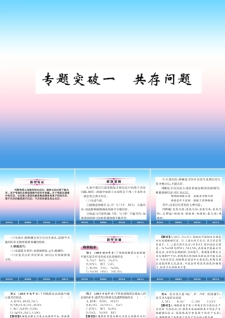 中考化学复习 第2编 重点专题突破篇 专题突破1 共存问题(精讲)课件
