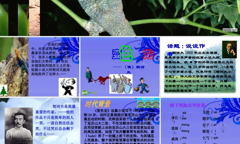 八年级语文下册 (变色龙)优秀实用课件 苏教版 课件