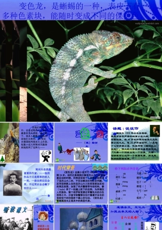 八年级语文下册 (变色龙)优秀实用课件 苏教版 课件