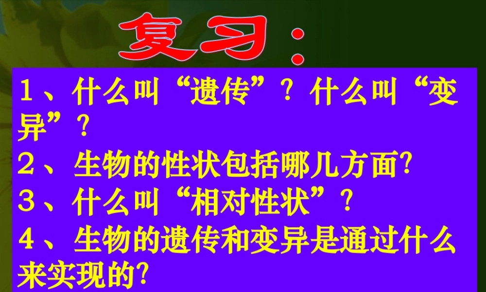 八年级生物 第二节基因在亲子代间的传递课件2 八年级生物 第二节基因在亲子代间的传递课件[整理两套] 八年级生物 第二节基因在亲子代间的传递课件[整理两套]