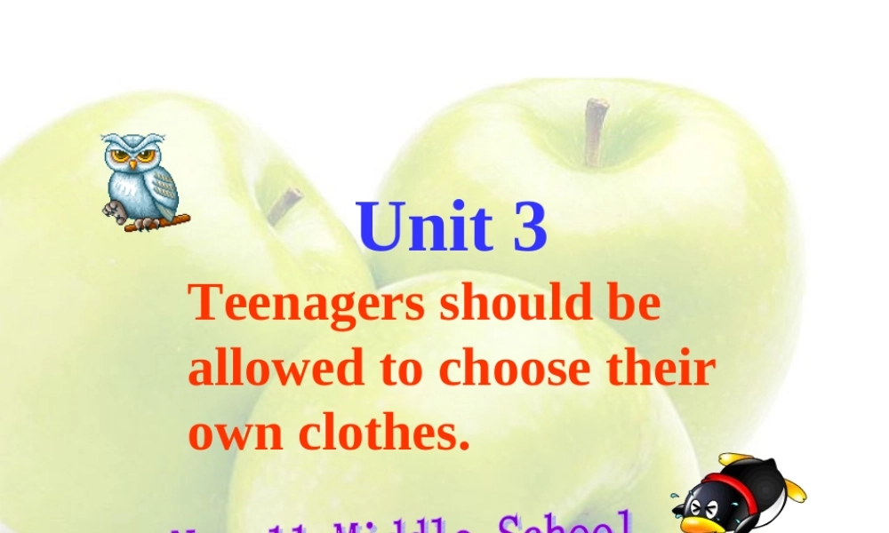 九年级英语上册Unit3课件 人教新目标版 课件