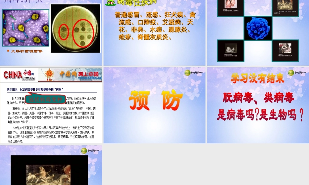 八年级生物上册 第五单元 第五章 病毒课件 新人教版 课件