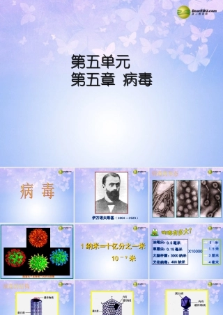 八年级生物上册 第五单元 第五章 病毒课件 新人教版 课件