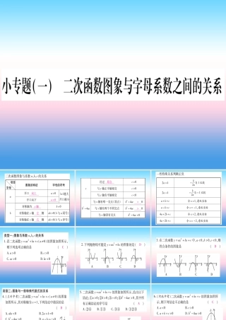 九年级数学下册 小专题(一)二次函数图象与字母系数之间的关系作业课件 (新版)湘教版 课件