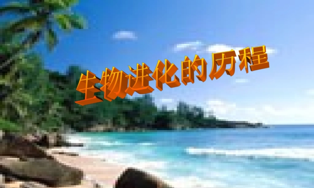 八年级生物下册 生物进化的历程课件 苏科版 课件