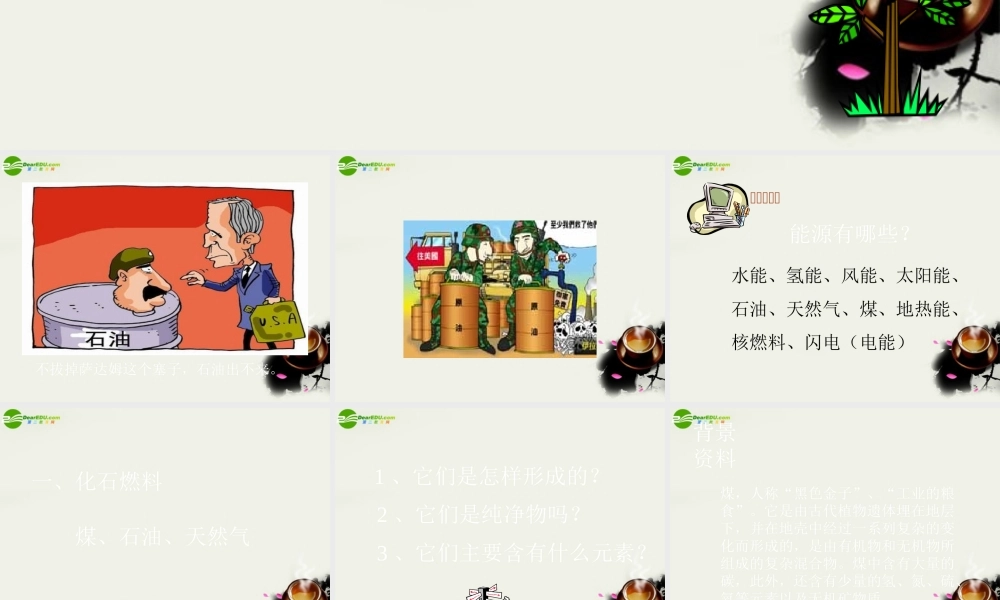 九年级政治 化石燃料的利用 课件1 沪教版 课件