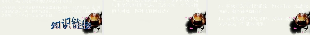 九年级政治 化石燃料的利用 课件1 沪教版 课件