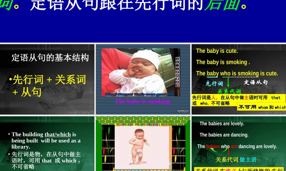 广东地区高一英语定语从句 新课标 课件