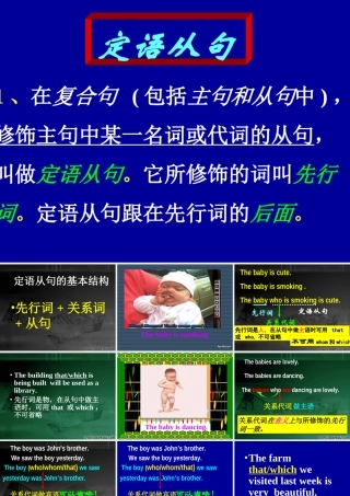 广东地区高一英语定语从句 新课标 课件