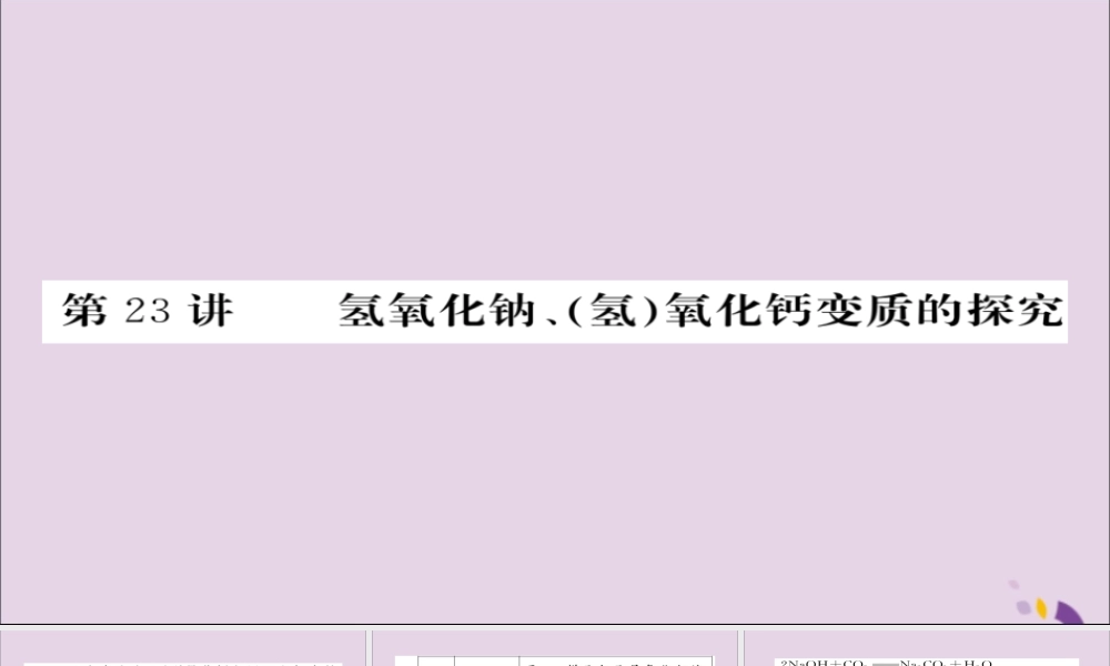 中考化学总复习 第一轮复习 系统梳理 夯基固本 第23讲 氢氧化钠氢氧化钙变质的探究练习课件