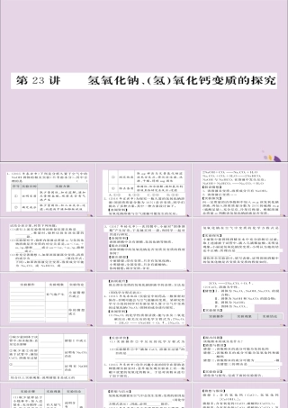 中考化学总复习 第一轮复习 系统梳理 夯基固本 第23讲 氢氧化钠氢氧化钙变质的探究练习课件