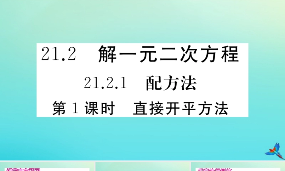 九年级数学上册 第21章 一元二次方程 2121 第1课时 直接开平方法作业课件 (新版)新人教版 课件